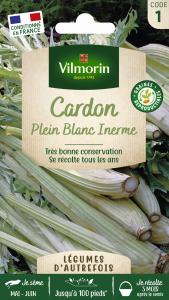 Cardon Plein Blanc Inerme - Légumes d'Autrefois